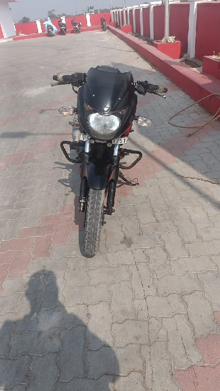 pulsar 150cc