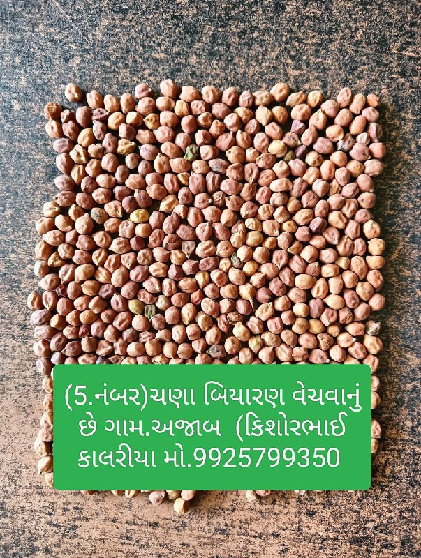 (3.નંબર)(5.નંબર...