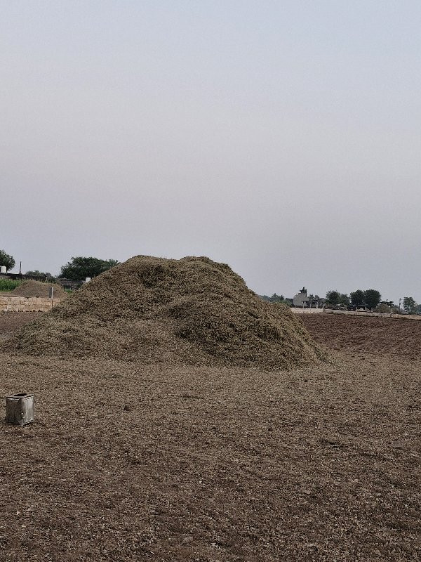 જીવીસ માંડવી નો...