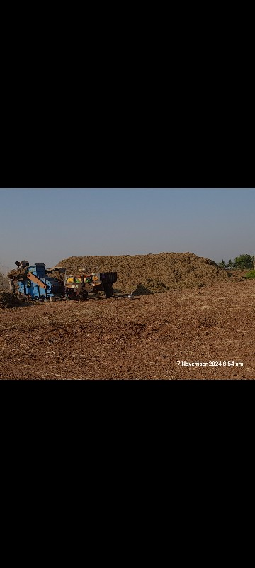 માંડવી નો ભૂકો...