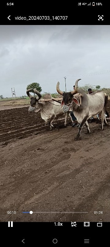 વેચવા છે