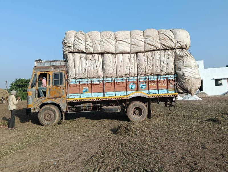 માડવી નો ભૂકો મ...