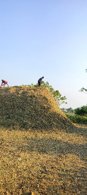 નવો ભૂકો