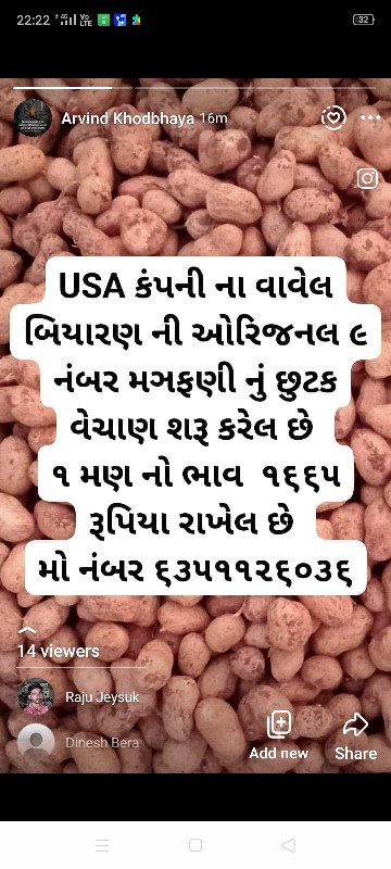 ૯ નંબર મગફળી