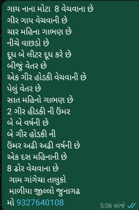 ગાય નાના મોટા...