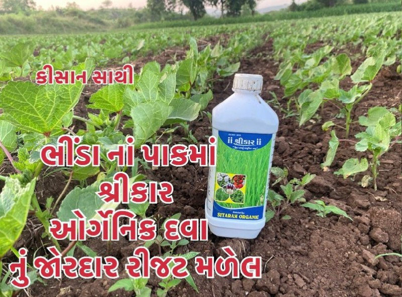 ઓર્ગનીક દવા