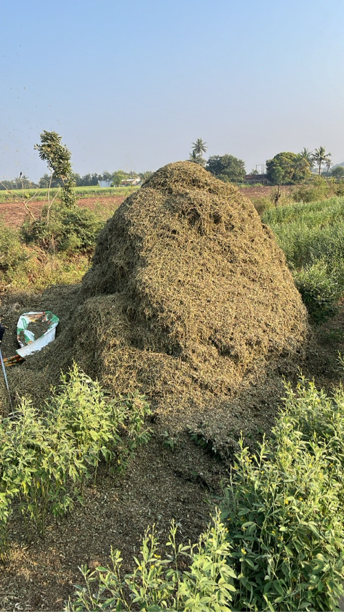 માડવીયૂ વેચવા ન...