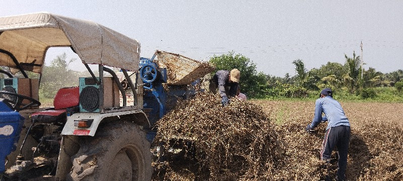 બજાજ સકેડી,