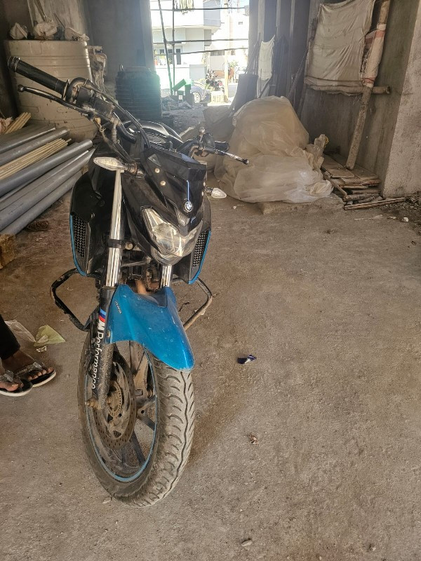 FZ 250