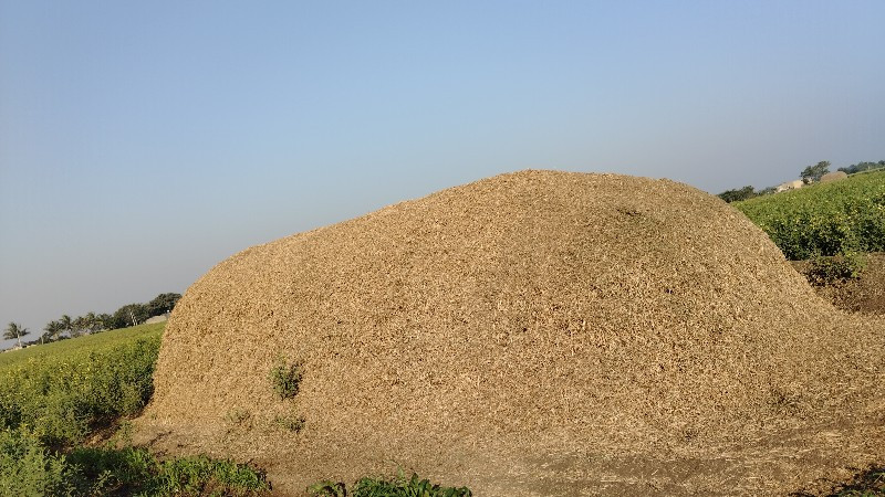 માંડવી નો ભૂકો...