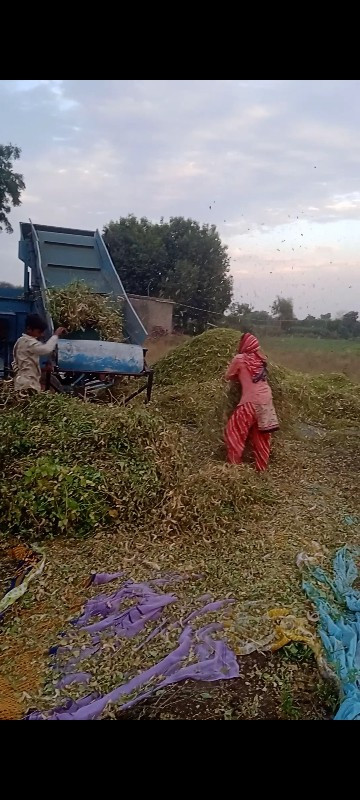 પટાવારુ  થેશર વ...