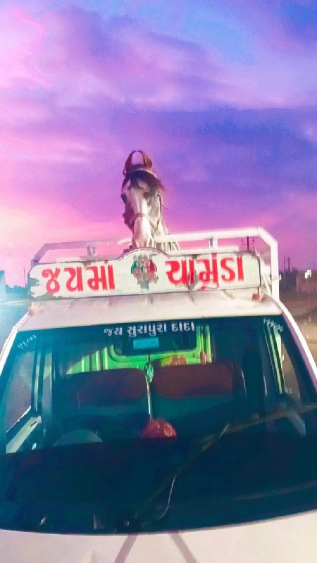 ઘોડો