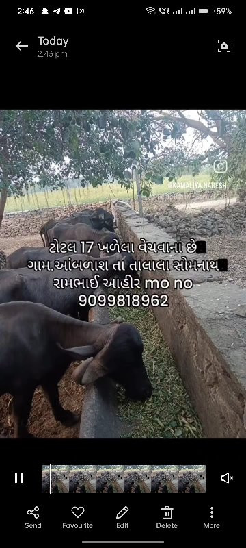 ટોટલ 17 ખળેલા વ...