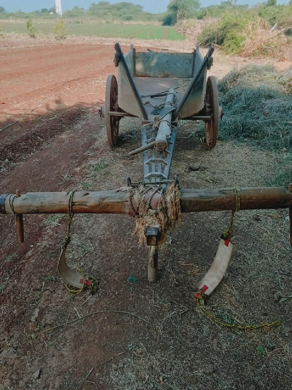 ટોટલ લોખંડ મા છ...