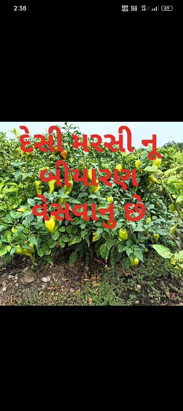 વેચવાનું