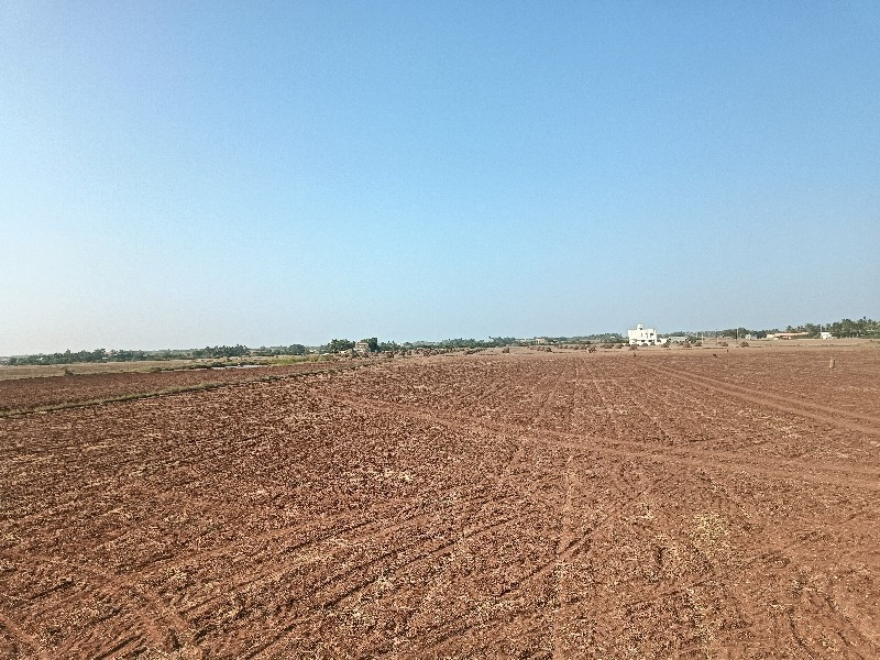 ખેતર વેશવાનુ