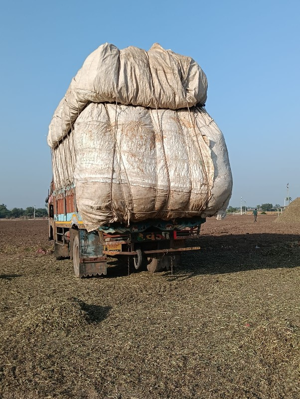 માડવી નો ભૂકો પ...