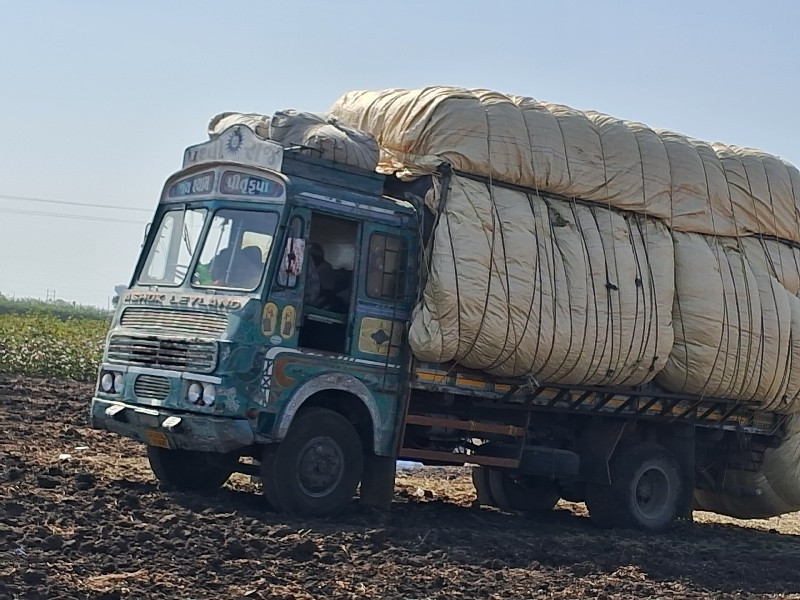 માંડવી લે વેચ મ...