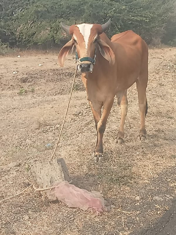 20,000 રૂપિયા ક...