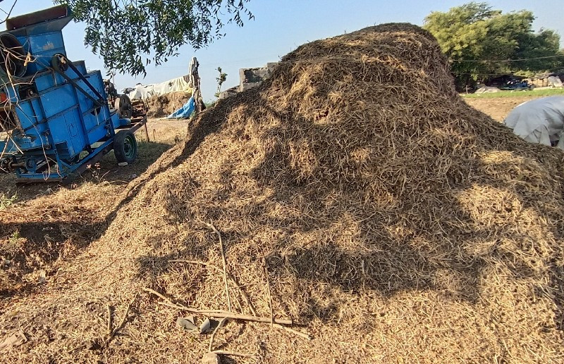 ભુકો વેચવાનો છે