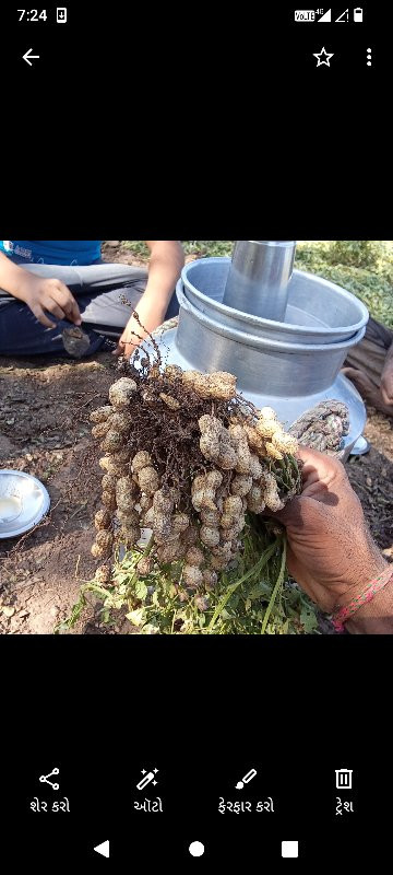 ગીરનાર માડવીનુ....