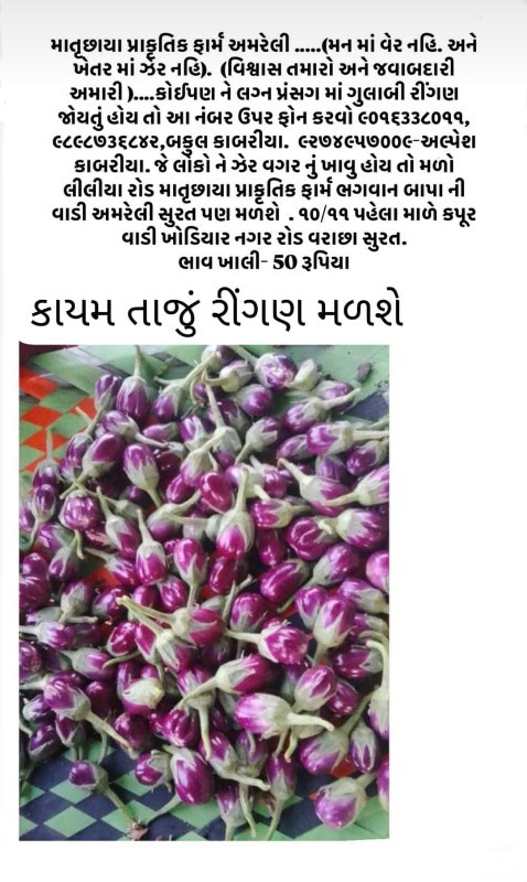 રીંગણ