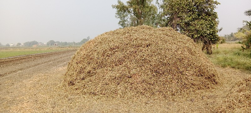 12 વીઘાનુ ભૂકો