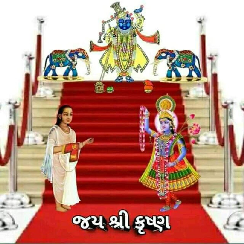 ગાય લેવાની છે