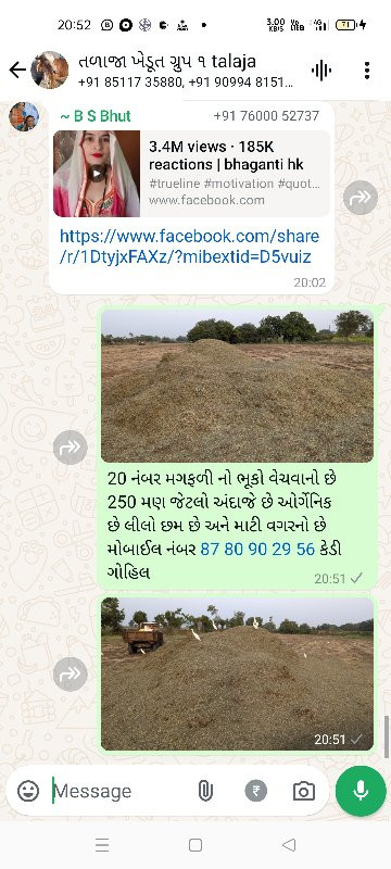 20 નંબર મગફળી ન...