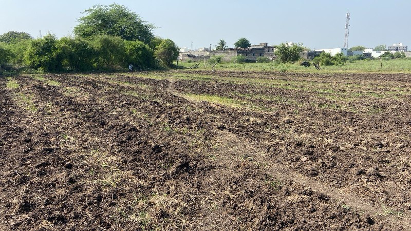 જમીન વેચવાની છે