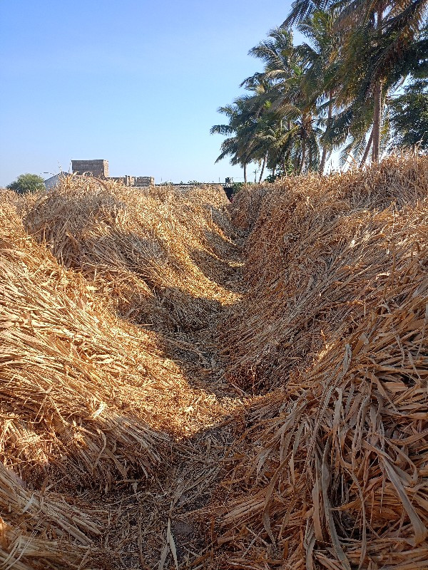 સારુ વેચવાની છે