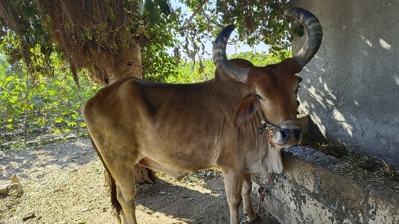 તમામ જવાબ દારી