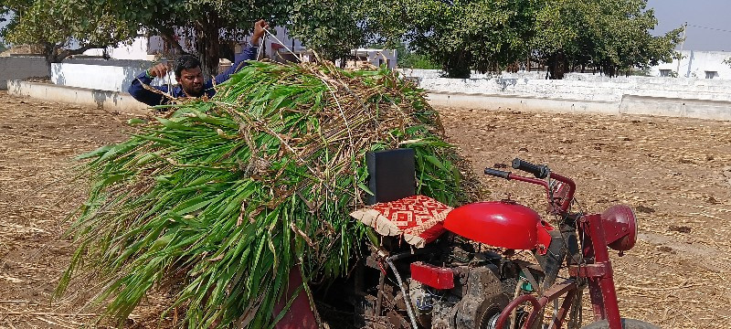 સનેડો વેચવાનો છ...