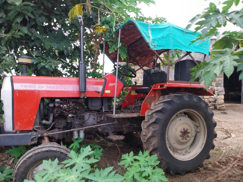 MASSEY 7250