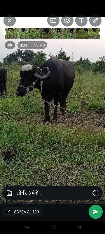 ખડેલુ વેચવાનુ છ...