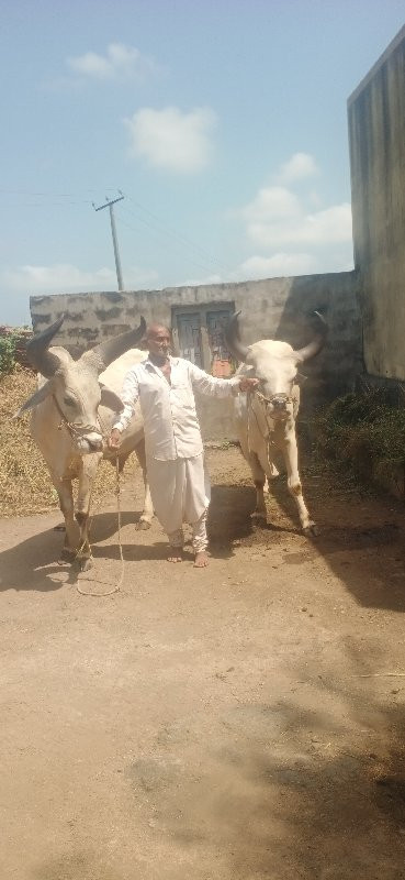 બીજી ધર પુરી કર...