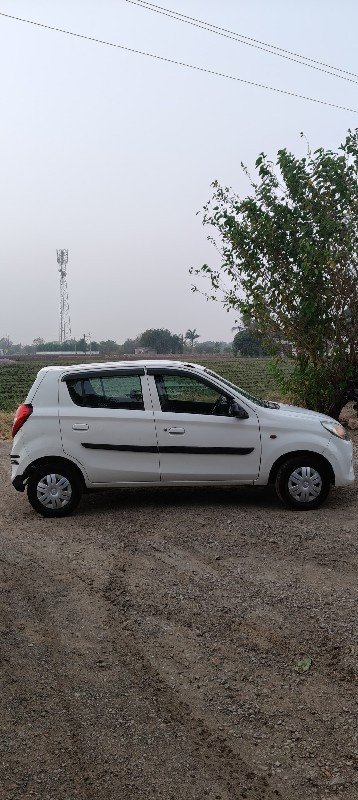 alto 800