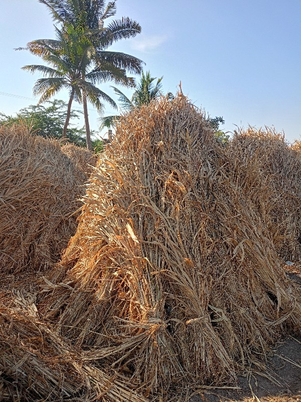 સારુ વેચવાની છે