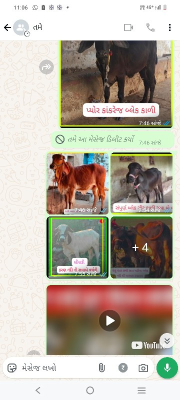 દુઝણી ગાય અને વ...