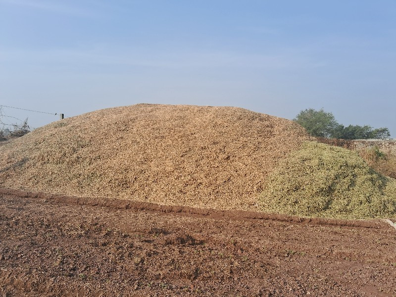 દુશો વેચવાનોશે