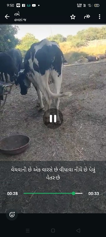 ajit Bhai fulja...