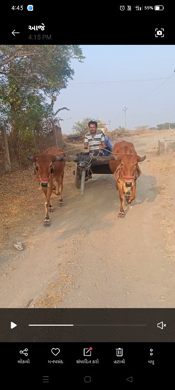 ગોઢલા અને ગાડું...