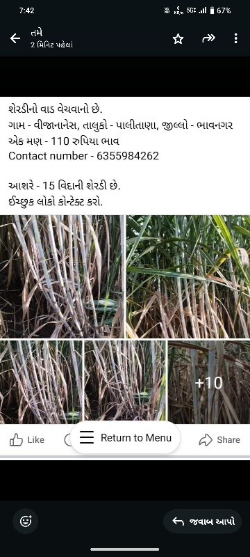 આશરે - 15 વિદાન...