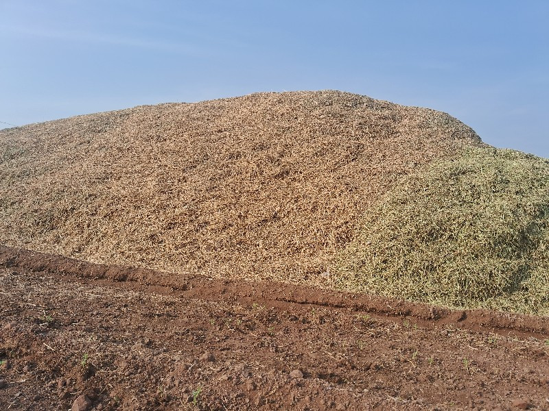 દુશો વેચવાનોશે