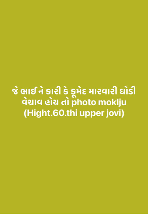 મારવારી ઘોડી લે...