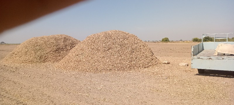 મોગોટુ વેચવા નુ...