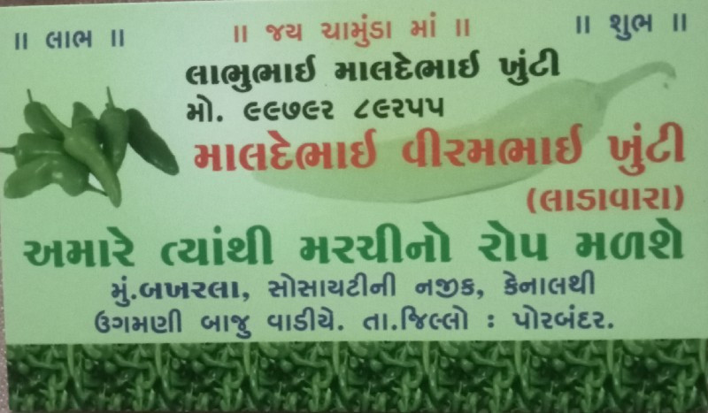 મરચીનો રોપ વેચવ...