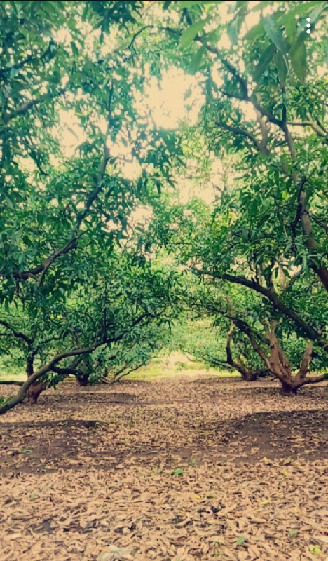 જમીન વેચવા ની છ...