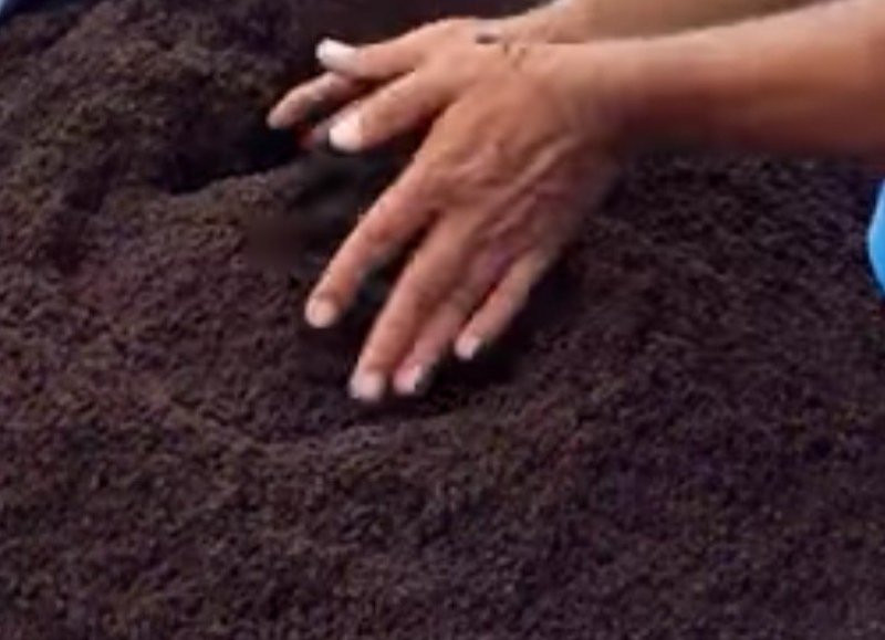 vermi compost