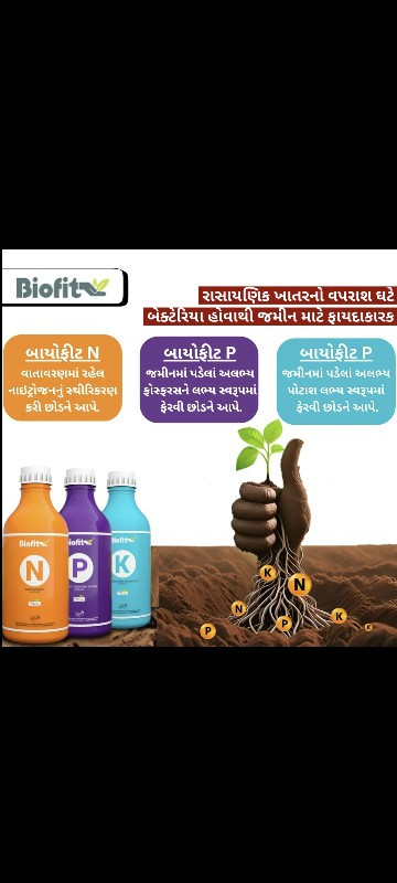 જીરું, ધાણા, ઘવ...